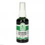 ORTHOSIPHONBLÄTTER Spray