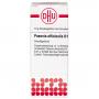 PAEONIA OFFICINALIS D 10 Globuli Ind.Fert.