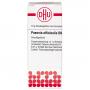 PAEONIA OFFICINALIS D 9 Globuli Ind.Fert.