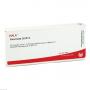 PANCREAS GL D 12 Ampullen