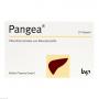 PANGEA Kapseln