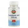 PANTOTHENSÄURE VITAMIN B5 250 mg KAL Tabletten