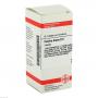 PAREIRA BRAVA D 6 Tabletten