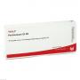 PERITONAEUM GL D 8 Ampullen