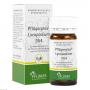 PFLÜGERPLEX Lycopodium 354 Tabletten