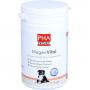 PHA MagenVital Pulver f.Hunde