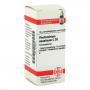 PHELLANDRIUM AQUATICUM C 30 Globuli