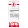 PIPER METHYSTICUM D 10 Globuli Ind.Fert.