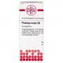 PLANTAGO MAJOR D 8 Globuli Ind.Fert.