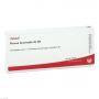 PLEXUS BRACHIALIS GL D 8 Ampullen