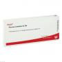 PLEXUS LUMBALIS GL D 6 Ampullen