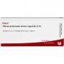 PLEXUS PULMONALIS Nervus vagus GL D 12 Ampullen