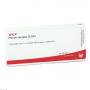 PLEXUS SACRALIS GL D 15 Ampullen