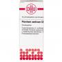 PLUMBUM ACETICUM C 6 Globuli Ind.Fert.