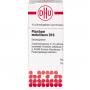 PLUMBUM METALLICUM D 10 Globuli