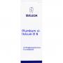 PLUMBUM SILICICUM D 6 Trituration
