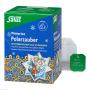 POLARZAUBER Früchte-Gewürztee Bio Salus Filterbtl.