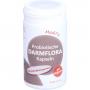 PROBIOTISCHE Darmflora Kapseln MediFit