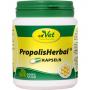 PROPOLIS HERBAL Kapseln vet.