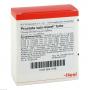 PROSTATA SUIS Injeel forte Ampullen