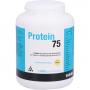 PROTEIN 75 Vanille Pulver