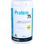 PROTEIN 75 Vanille Pulver
