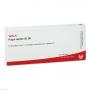 PULPA DENTIS GL D 8 Ampullen