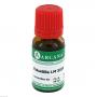 PULSATILLA LM 24 Dilution