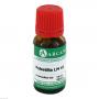 PULSATILLA LM 6 Dilution