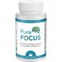 PURE FOCUS Dr.Jacob's Tabletten