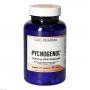 PYCNOGENOL 100 mg GPH Kapseln