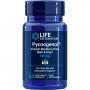PYCNOGENOL 100 mg Kapseln PYCNOGENOL 100 mg Kapseln