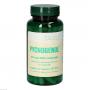 PYCNOGENOL 30 mg Bios Kapseln