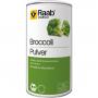 RAAB Vitalfood Broccoli Bio Pulver