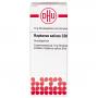 RAPHANUS SATIVUS C 200 Globuli Ind.Fert.