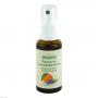 RAUMSPRAY Lavendel-Mandarine