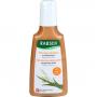 RAUSCH After-Sun-Shampoo mit Weizenkeim