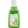 RAUSCH Anti-Pollution-Shampoo m.Schweizer Apfel