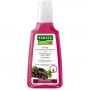 RAUSCH Aronia Anti-Grau Shampoo