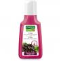 RAUSCH Aronia Anti-Grau Shampoo