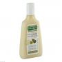 RAUSCH Avocado Farbschutz Shampoo