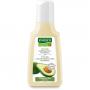 RAUSCH Avocado Farbschutz Shampoo