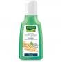 RAUSCH Ginseng Coffein Shampoo
