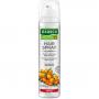 RAUSCH HAIRSPRAY strong Aerosol