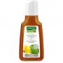 RAUSCH Huflattich Anti-Schuppen Shampoo