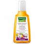 RAUSCH Kamillen Amaranth Repair Shampoo