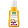 RAUSCH Kamillen Amaranth Repair Shampoo