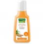 RAUSCH Weizenkeim Nähr-Shampoo