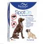 REDISAN Spot-on gegen Zecken+Flöhe f.Hunde 2-20 kg