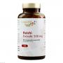 REISHI EXTRAKT 500 mg Kapseln